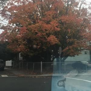 Meet your Posher, Etefany